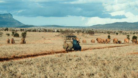 safari vehicle