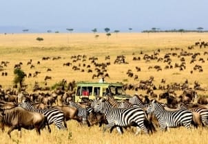 10 Days Kenya Family Safari | Kichaka Tours and Travel