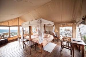 What Do Tented Camps Mean on a Safari?